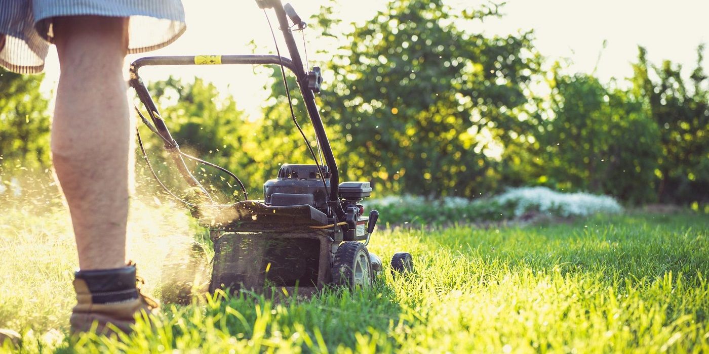 Learn How To Choose The Right Mowing Height