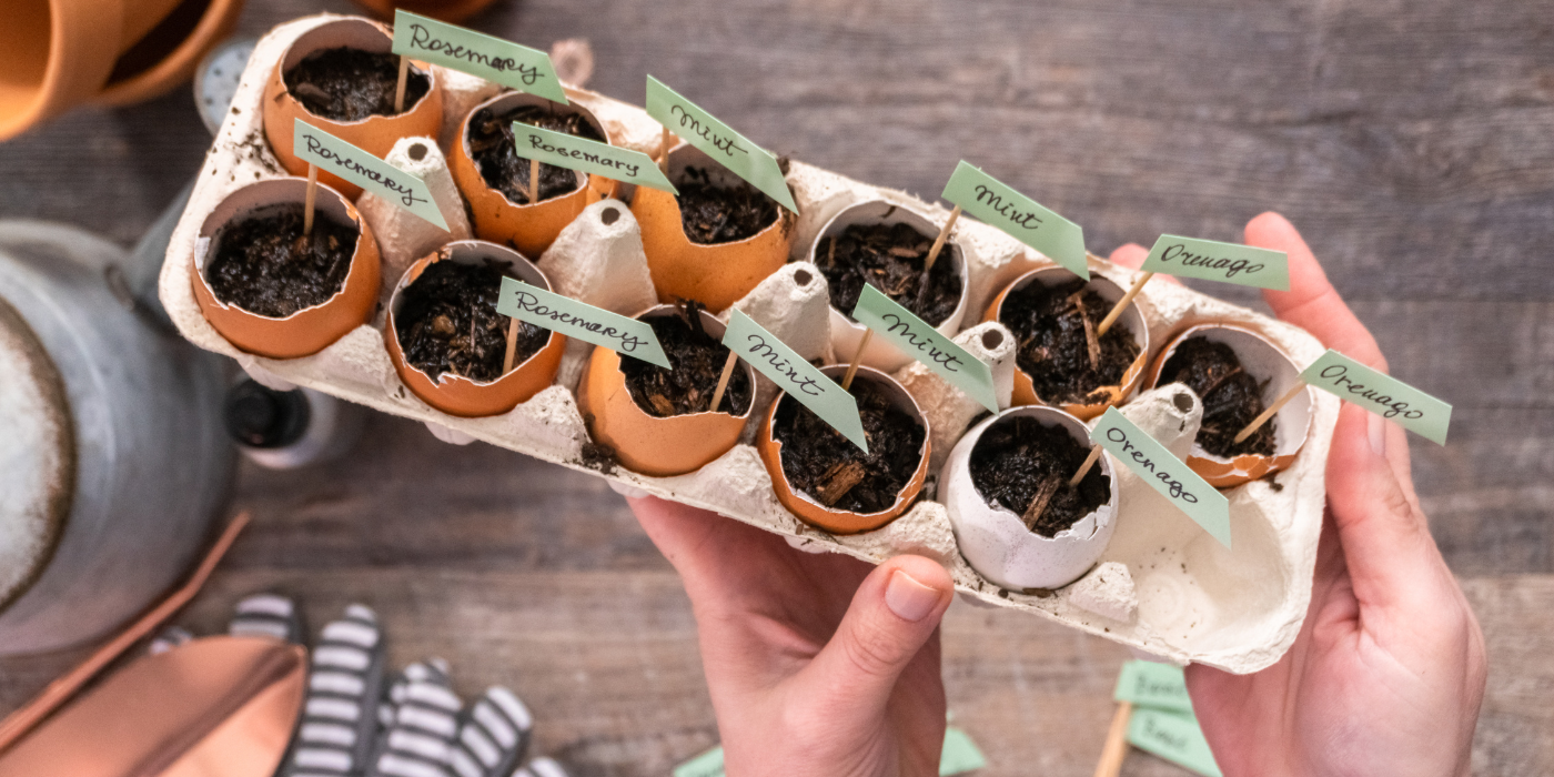 6 Ways To Use Eggshells For Plants And Around The House