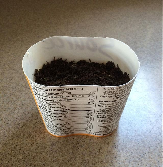 Fill with Soil