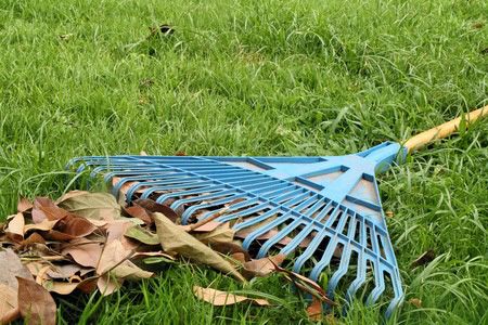 Winter Lawn Care Tips To Keep Your Lawn Healthy And Green