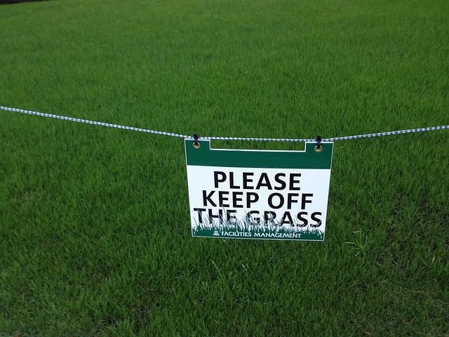 keep-off-the-grass