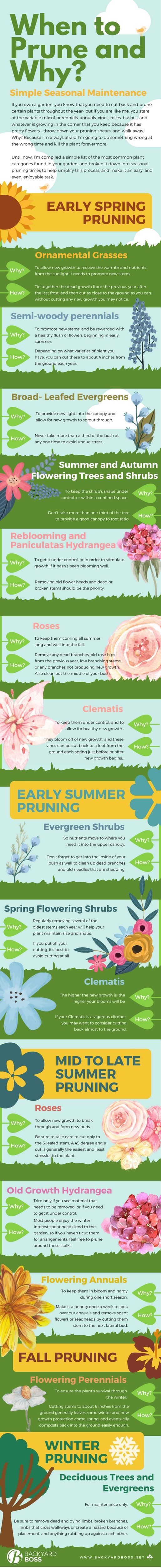 when-to-prune-and-why-infographic1