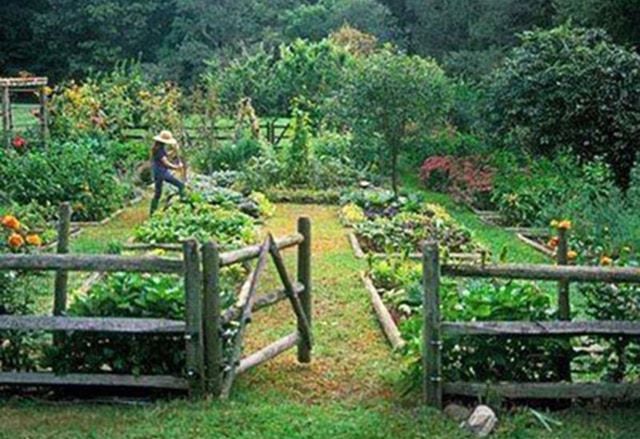 Connecticut-Kitchen-Garden