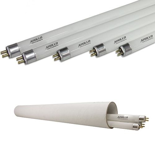 fluorescent-bulbs-for-growing