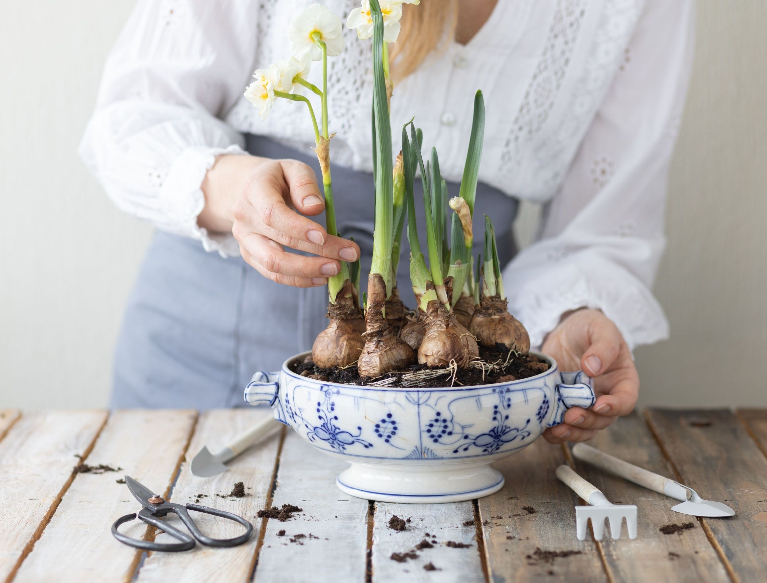 light bulbs for growing plants indoors