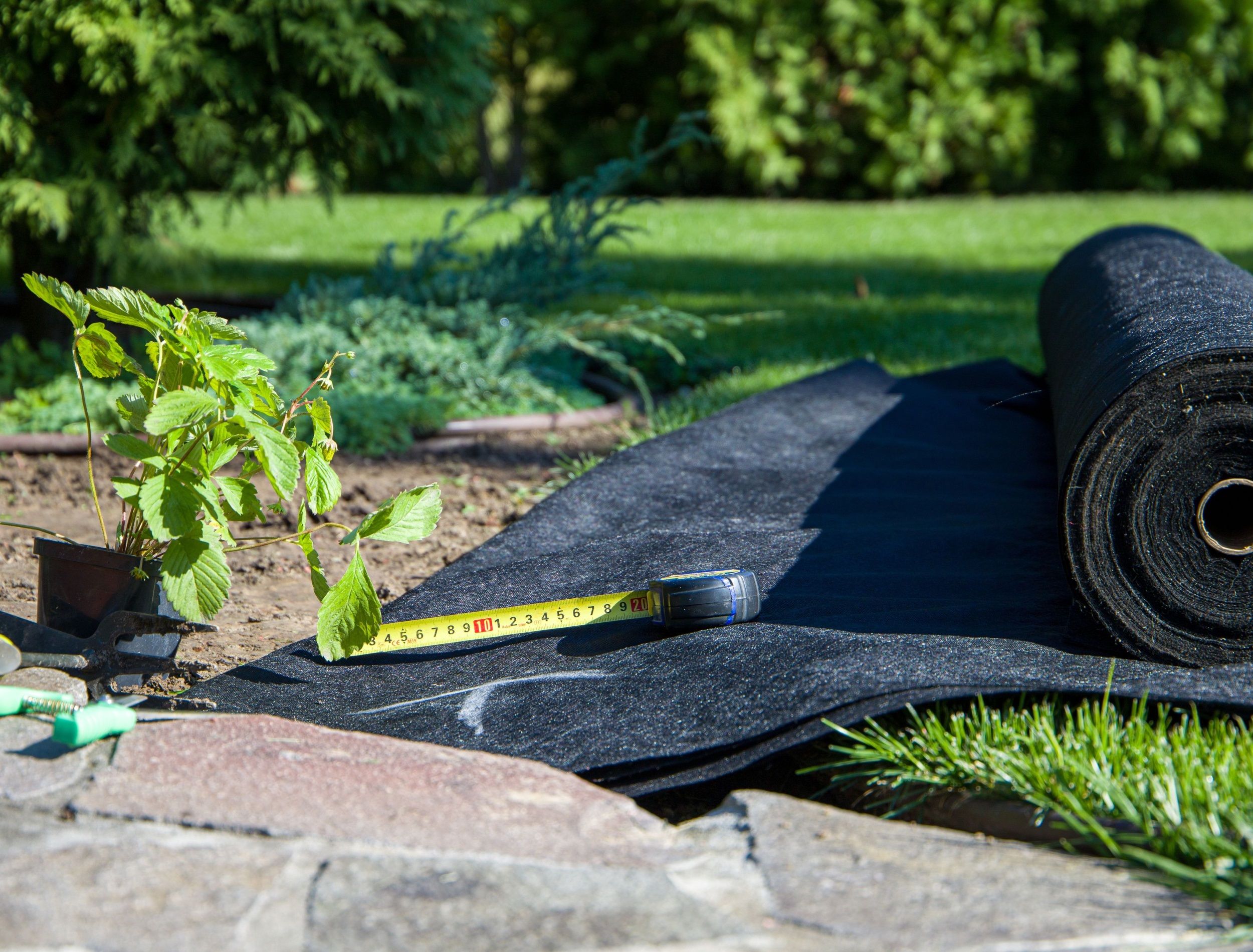 Strawberry bush in a pot, black geotextile in a roll, gardening tools. Selective focus.