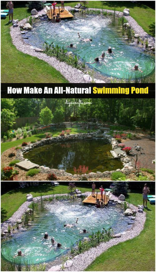 A-Dip-in-the-Pond