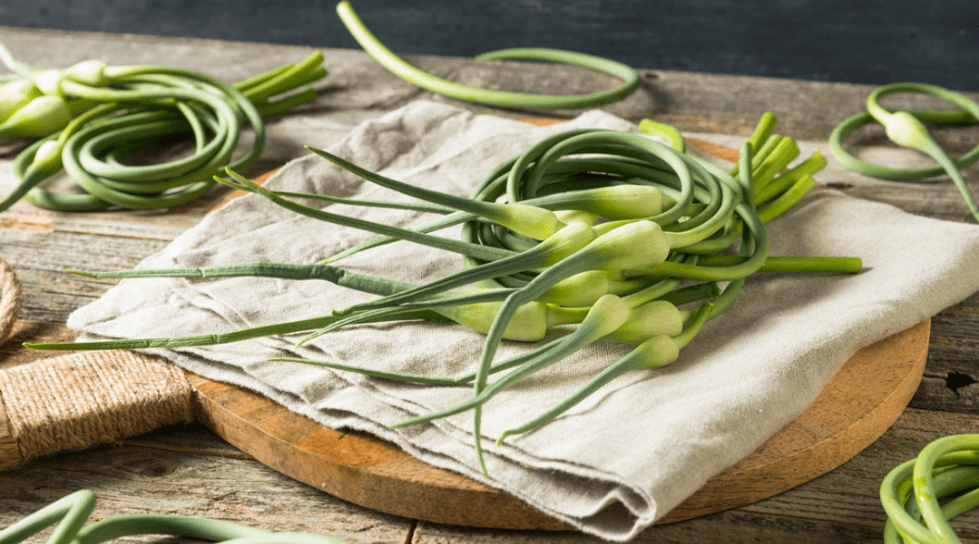 What are Garlic Scapes and What Can You Do with Them?