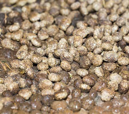 147 Things You Can Compost and 9 Things You Can’t