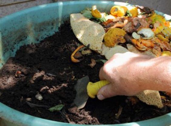 Compost Uses