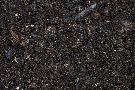 Moist pile of soil