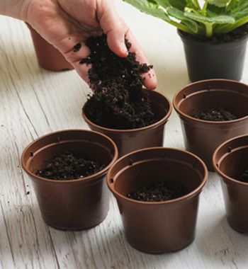 pots-and-potting-soil