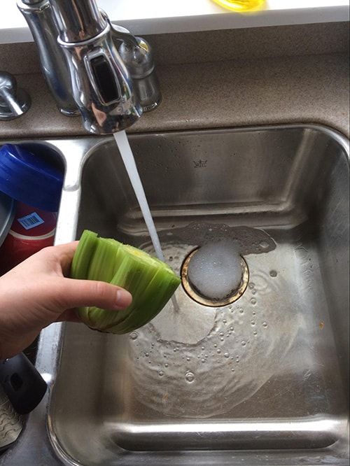 Celery base being washed