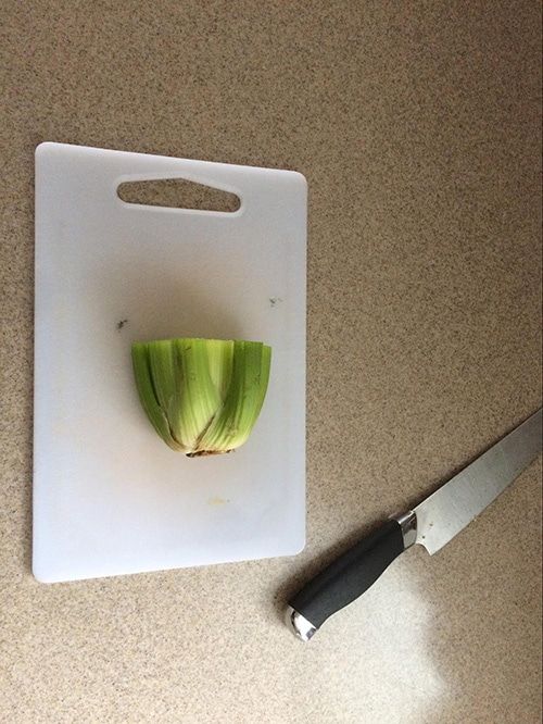 Celery base cut on the desk 