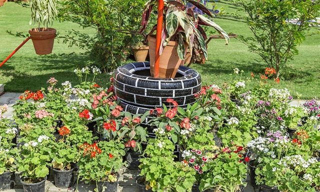 Painted Tire Planter