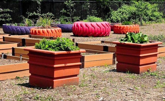 Varying Sizes Tire Planters