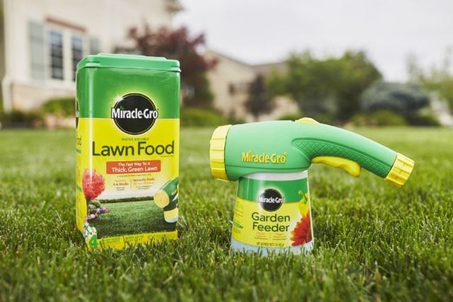Miracle-Gro All Purpose Lawn Food - $$title$$