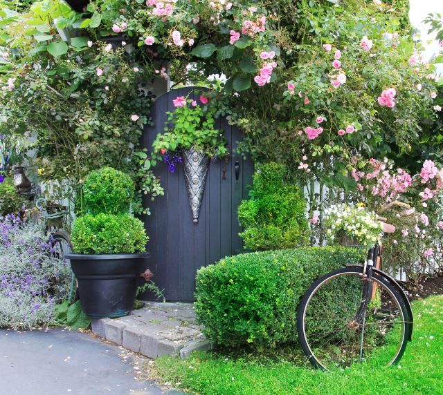 Charming Garden with Mysterious Gate, Framed in Greenery and Flowers