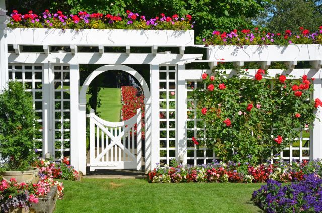 Tall White Fence and Gate Complete with Flowers