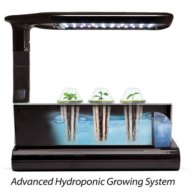 AeroGarden Sprout LED with Gourmet Herb Seed Pod Kit 2