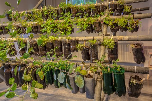 Hanging Vegetable Baskets