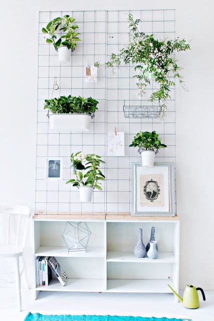 Simple Wall Planters