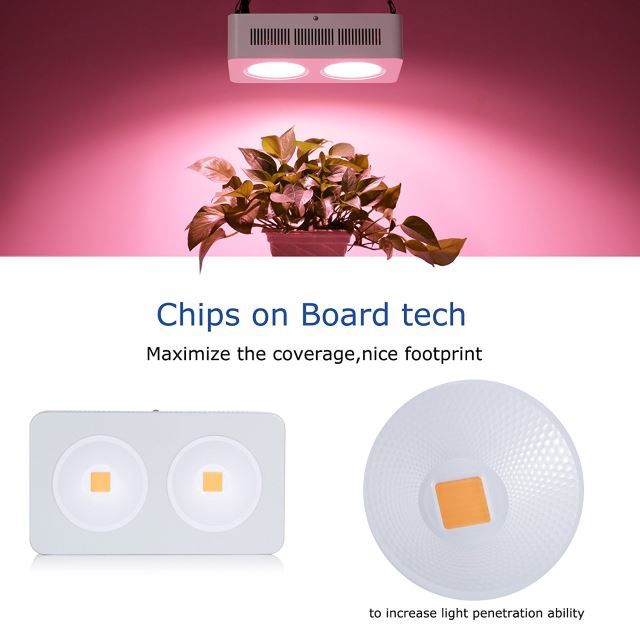 Chips on Board
