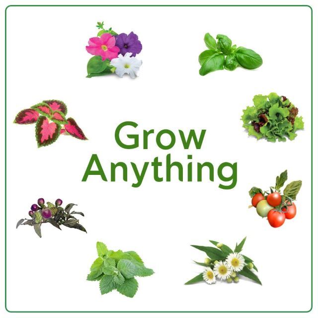 Grow Anything