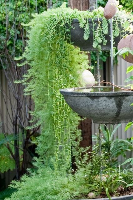 Hanging Pot Bird Bath