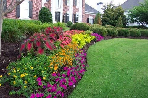 Colored Hedging