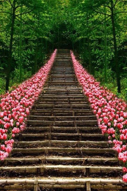 Flowered Stairway