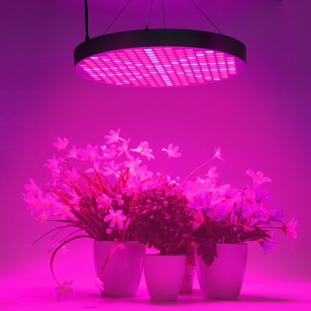 Shengsite UFO 250 LEDs Indoor Plant Grow Light - $$title$$