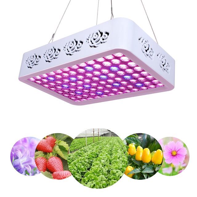 Plant-LED-Grow-Light-Full-Spectrum-300W