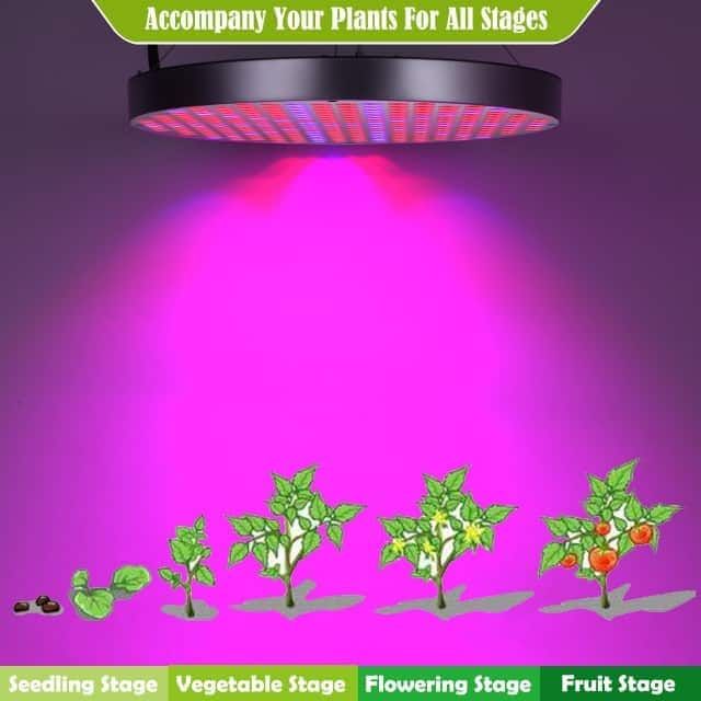 Best Grow Lights for Seedlings Review 2019