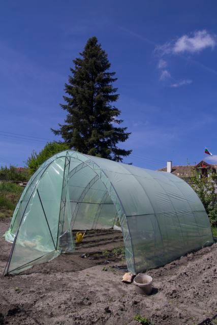 handmade polythene greenhouse for seedlings
