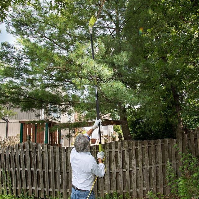 Best Pole Chainsaw Reviews 2019