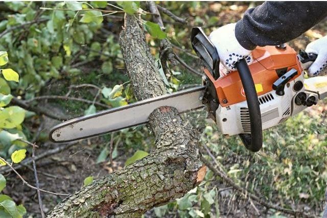 Pinched Chainsaw