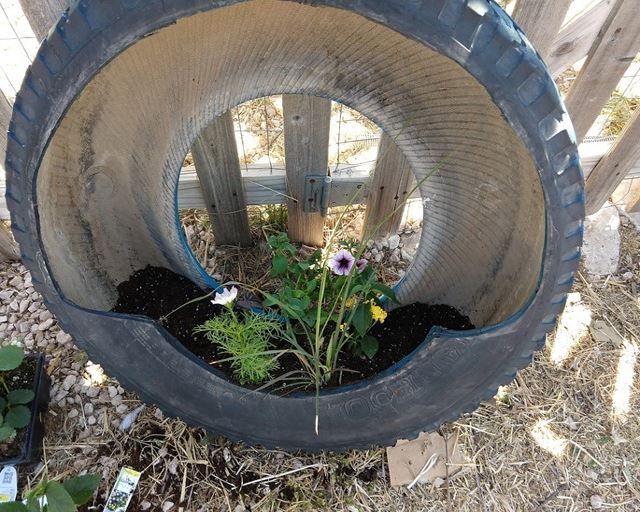 Step 8: Plant Your Tire