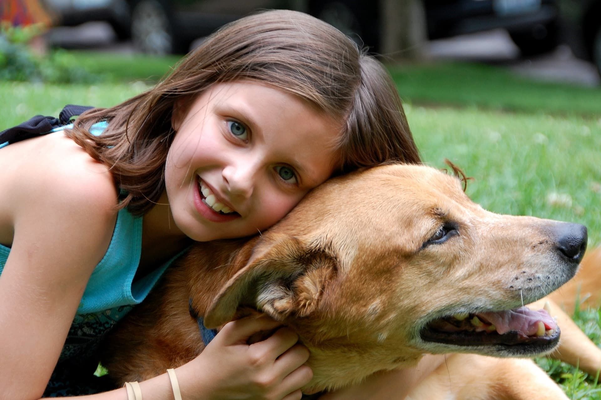 Young girl with head resting on a golden colored adult dog.