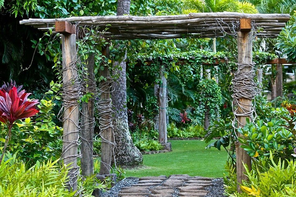 Climbing plant wood structure in the garden and serves as a path walk