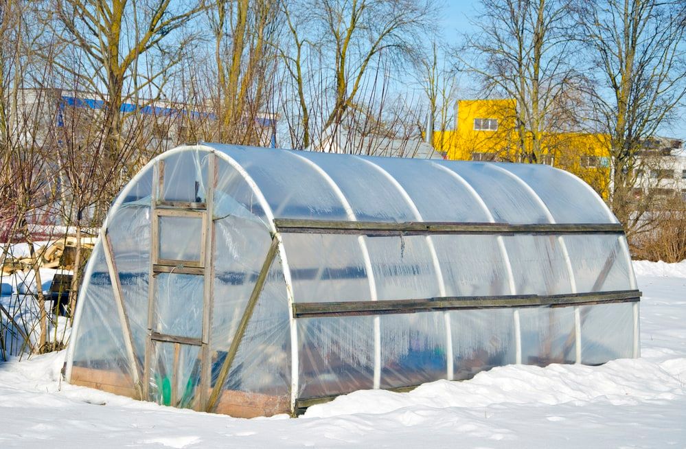 handmade polythene greenhouse for vegetable in winter time on snow