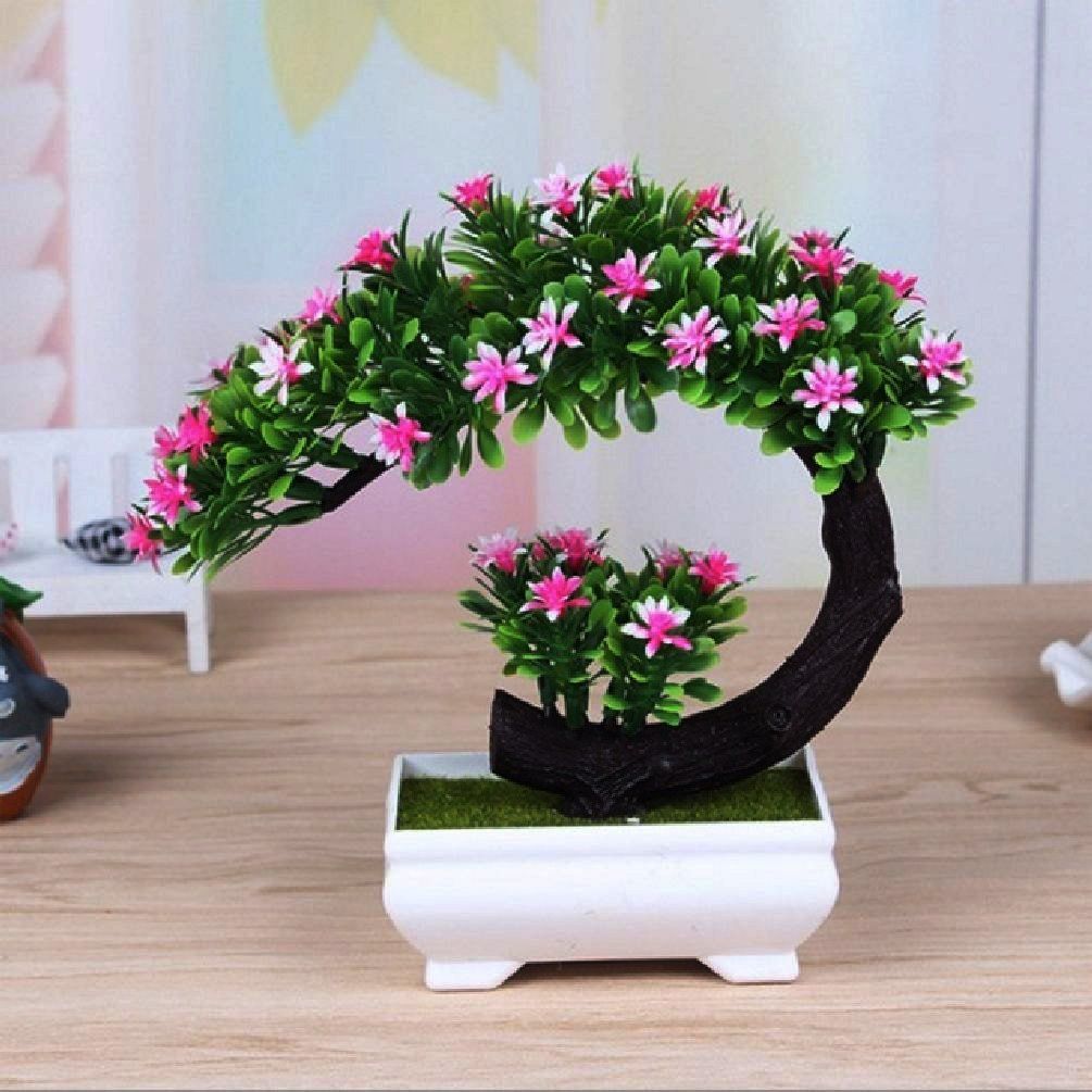Curved trunk of pink flowering indoor bonsa tree planted in a cute little white rectangular pot