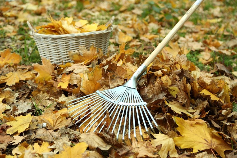 Leaf Blower VS Rake The Pros and Cons to Both