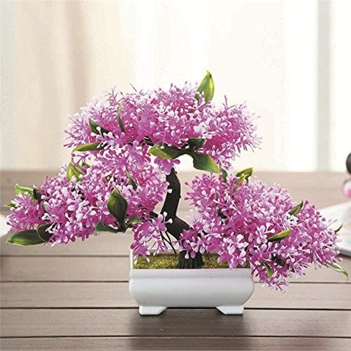 Tiny bonsai tree blooming with purple like flowers placed in a small white pot situated indoor