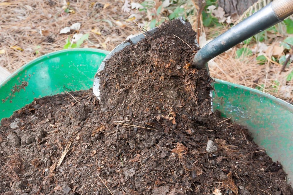 Shovel Shovel Pours Fertile Compost into Wheelbarrow