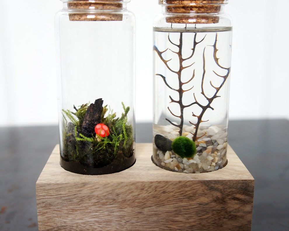 Two jars placed in a wooden foundation covered with cork filled with plants inside 