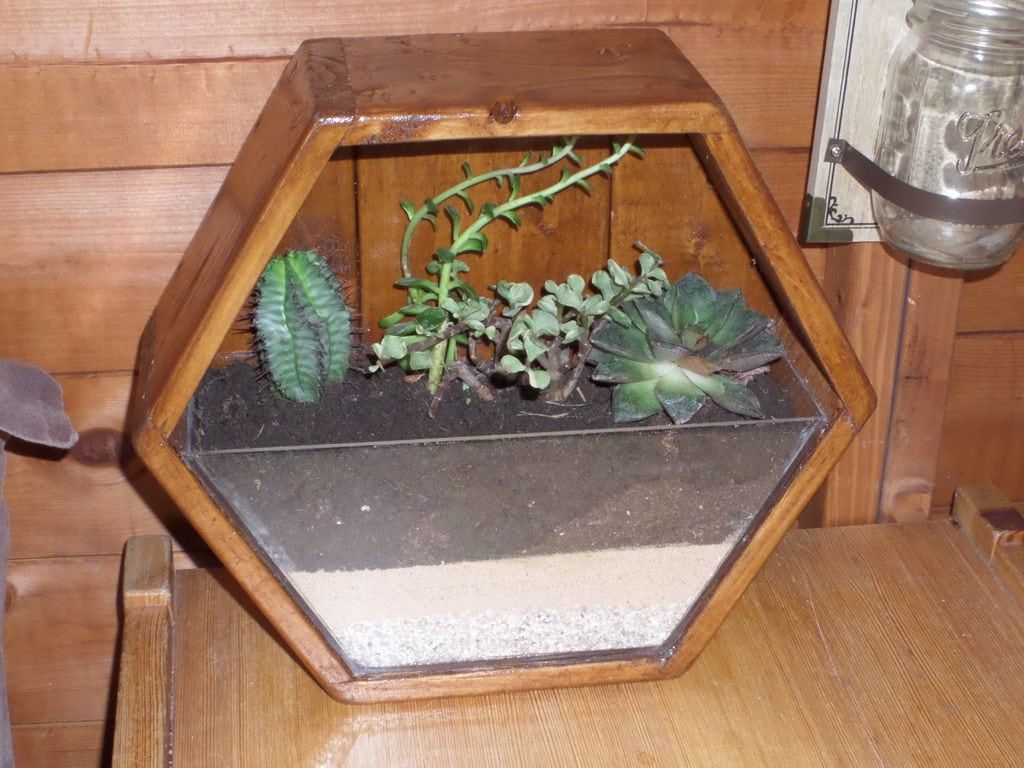 Wooden hexagonal shaped garden with half placed of transparent filled with soil planted with several succulent plans