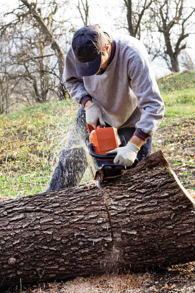 Young man cutting trees using an electrical chainsaw in the countryside