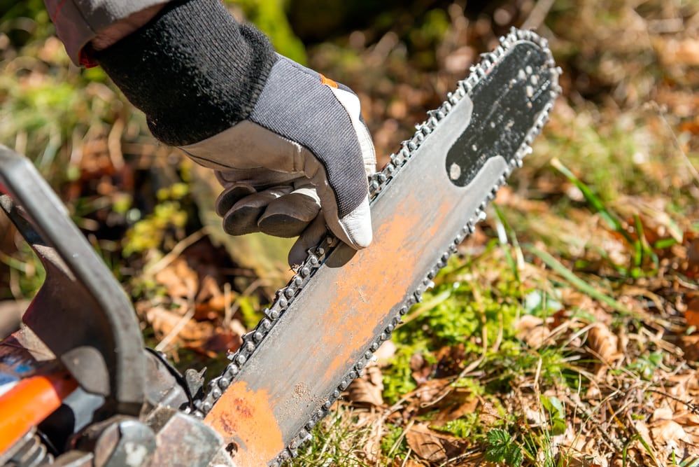 A hand wearing gloves holds the tip of a chainsaw