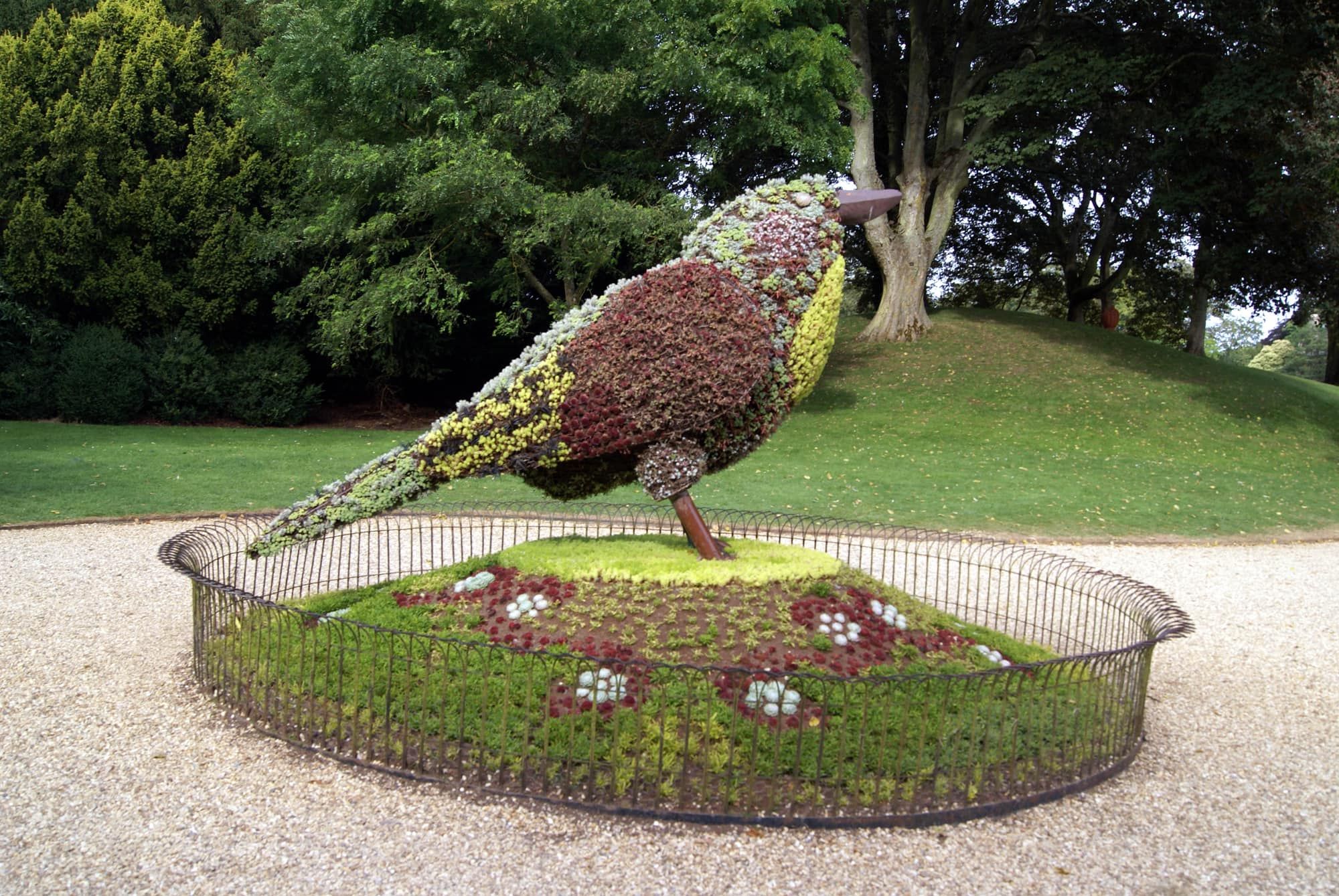 hedge shaped into a birdie